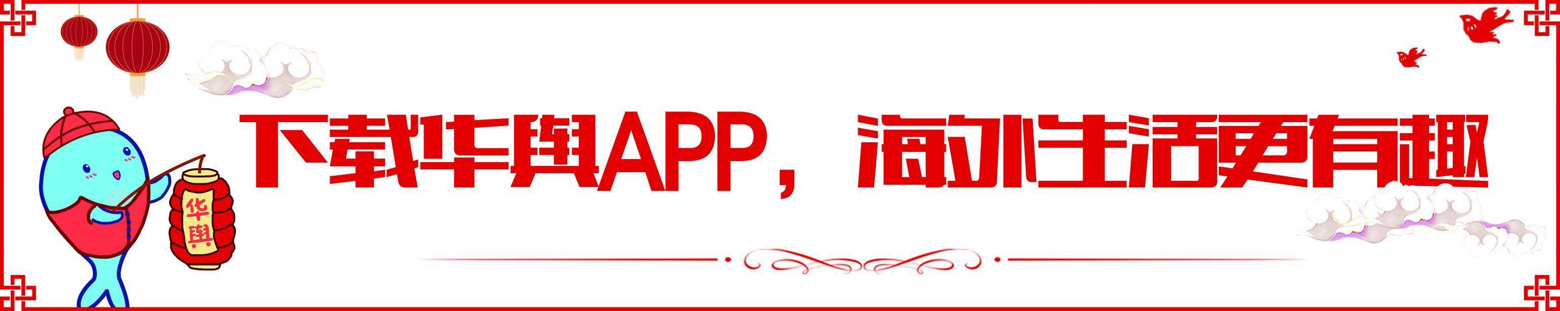 澳大利亚本地超市的奶粉,澳大利亚奶粉超市