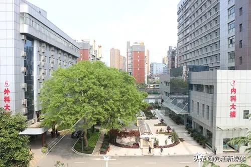 共创未来招募英才,诚邀有识之士共创未来