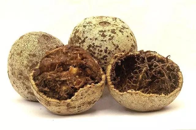 东南亚9大奇葩水果,第3个在中国是爆款!