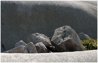 5种不可再生的石头,这些奇形怪样的石头你见过吗