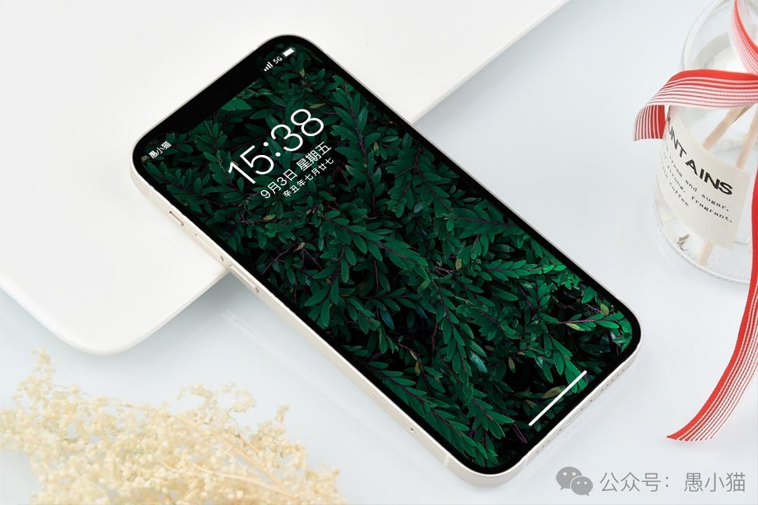 高清风景壁纸｜你静候着秋天的温柔，留我在风景之外