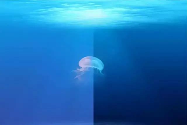 摄影调色三色图,摄影十二种调色口诀表