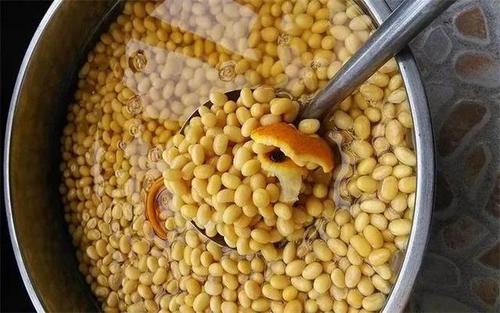 养花粪肥味道太大怎么办,室内养花用有机肥