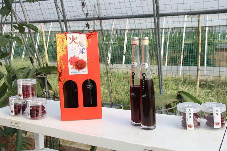 中国四大火龙果种植基地,火龙果最大的种植基地在哪里