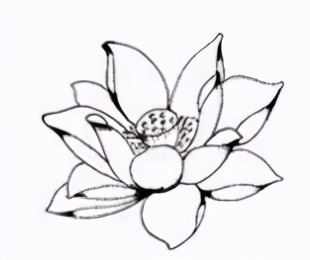 佛陀是如何达到启蒙这个境界的,佛陀如何教儿子