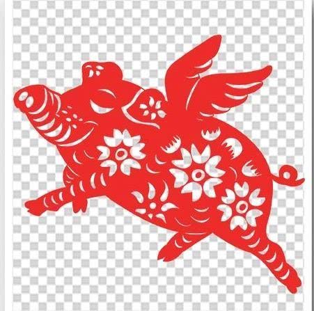 从丁亥到己亥—武昌水果湖中学六六届高三（1）班同学聚会本命年