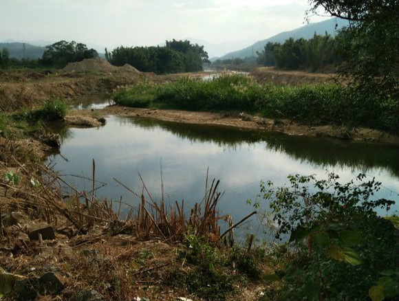 鲫鱼大个的好还是小个的好,鲫鱼好吃还是小白条好吃