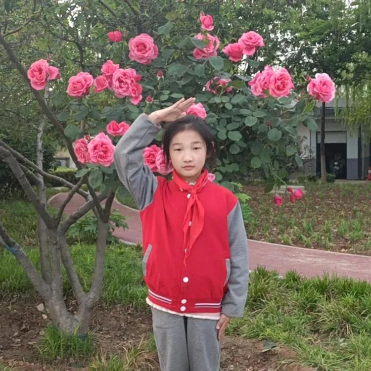 楚雄市新时代好少年评选,2019洛龙区龙富小学