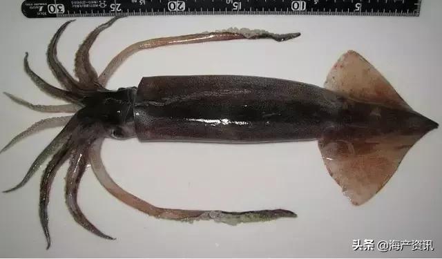 硬核科普全部,硬核科普大全视频