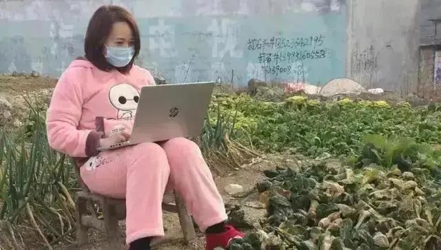 外企合规很严格原因,为什么外企讲究合规