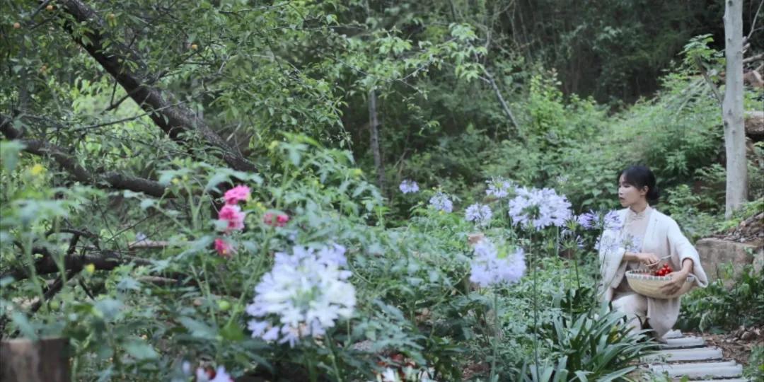 番茄锅酸甜番茄,超浓郁的番茄火锅吃一次就爱上了