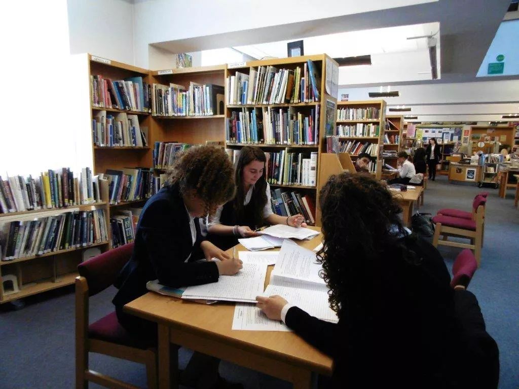 浼︽暒鐨囧澶у瀛﹂櫌浠嬬粛,浼︽暒鐨囧澶у