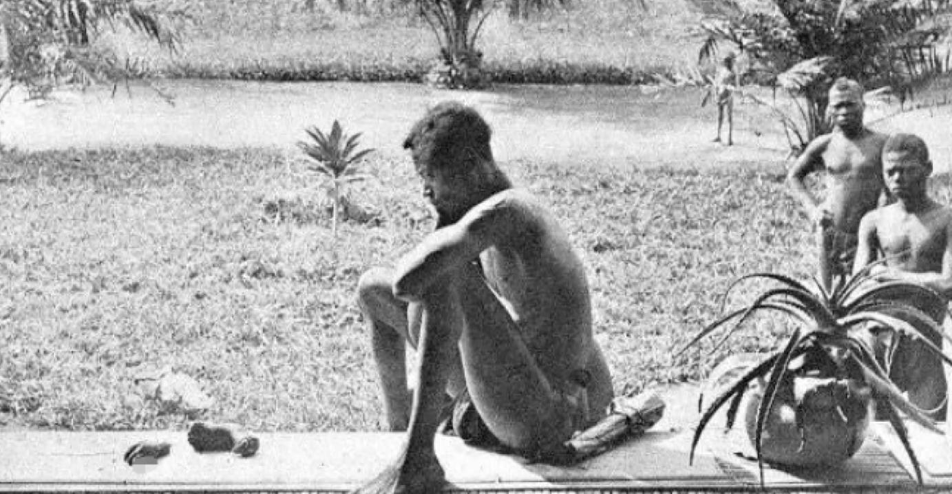 乌合麒麟血棉解析,乌合麒麟怒揭血棉真相