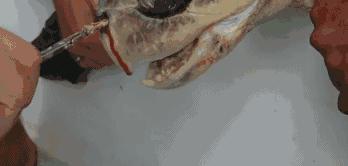 巴厘岛最垃圾的海滩,巴厘岛度假胜地