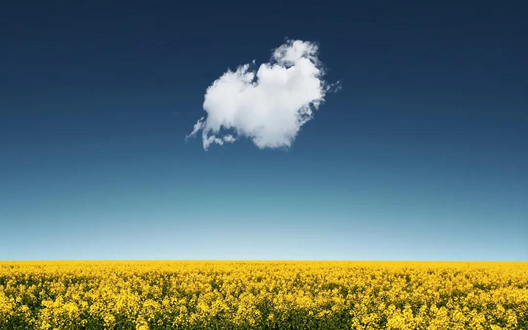 带有收藏的成语,成语归纳给孩子收藏吧