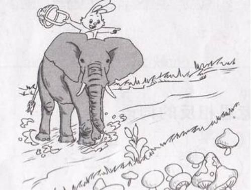 一年级打电话看图写话例文,看图写话小蜜蜂采花蜜例文