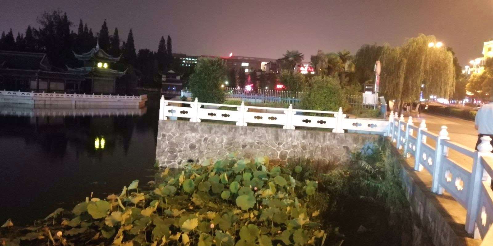 nomatterwhat可以引导名词性从句吗,what引导的名词性从句的五种用法