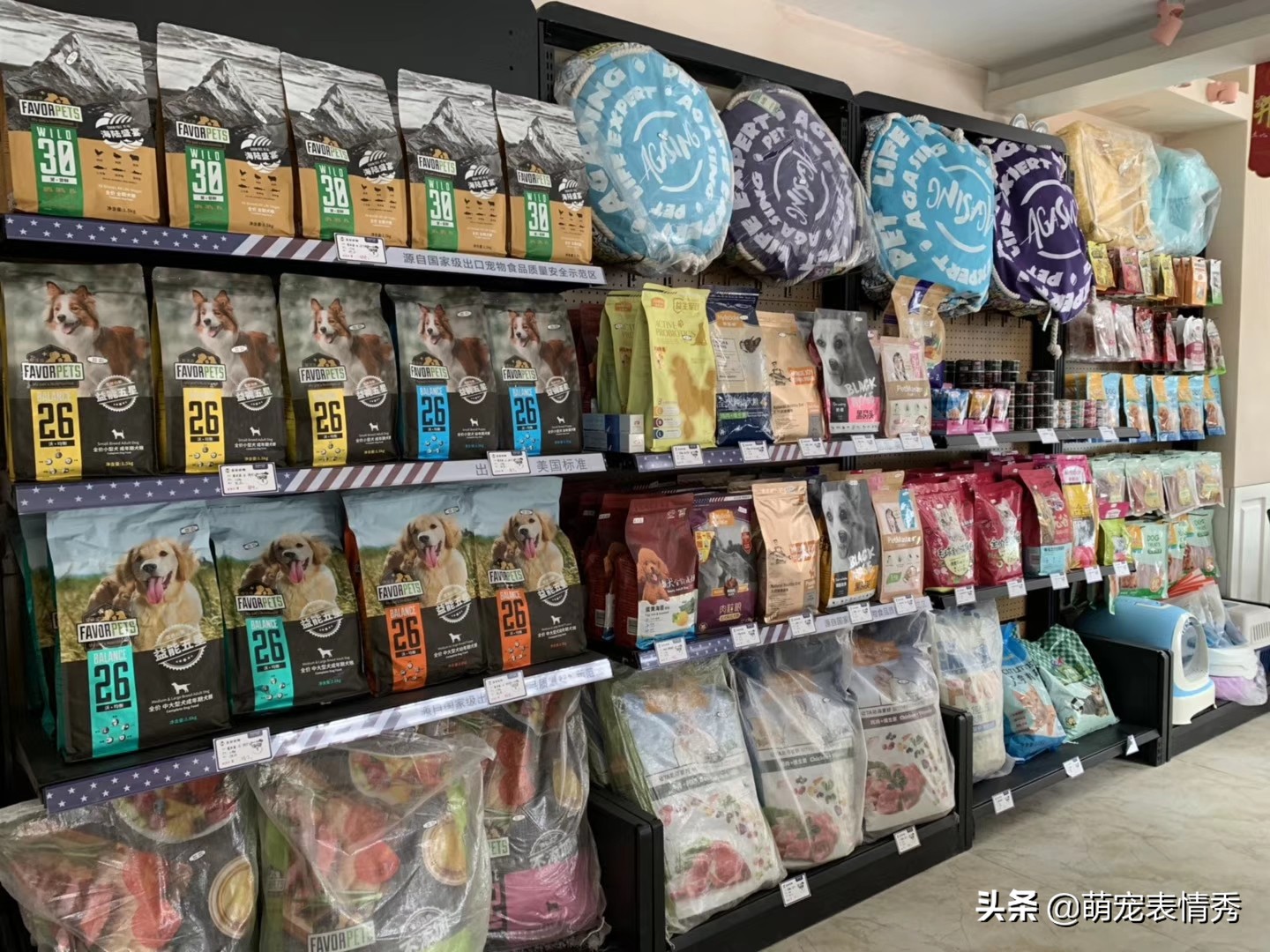 网上宠物店挣钱吗,宠物店售卖区挣钱么