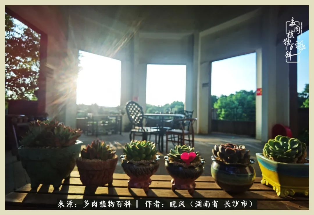 摇身一变成了奶爸,摇身一变成为打工人