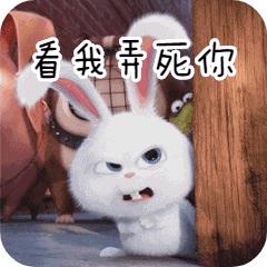 兔兔辣么阔爱，你怎么不养兔兔？