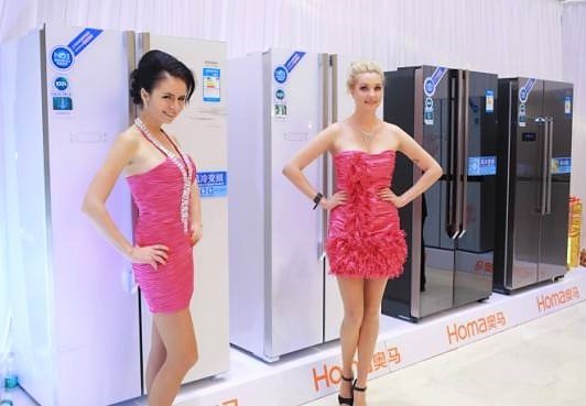 隐形冠军中国品牌,国产冰箱隐形冠军