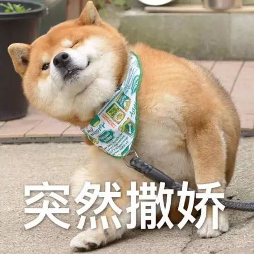 什么样才算纯种狗？纯种狗是怎么培育出来的？