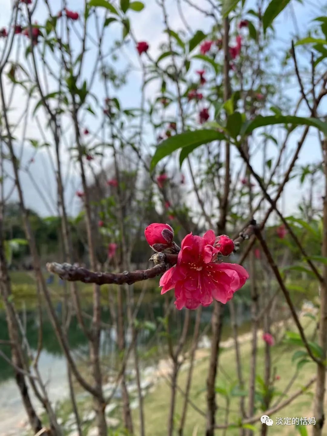 一边修脚一边讲故事,开口学古诗