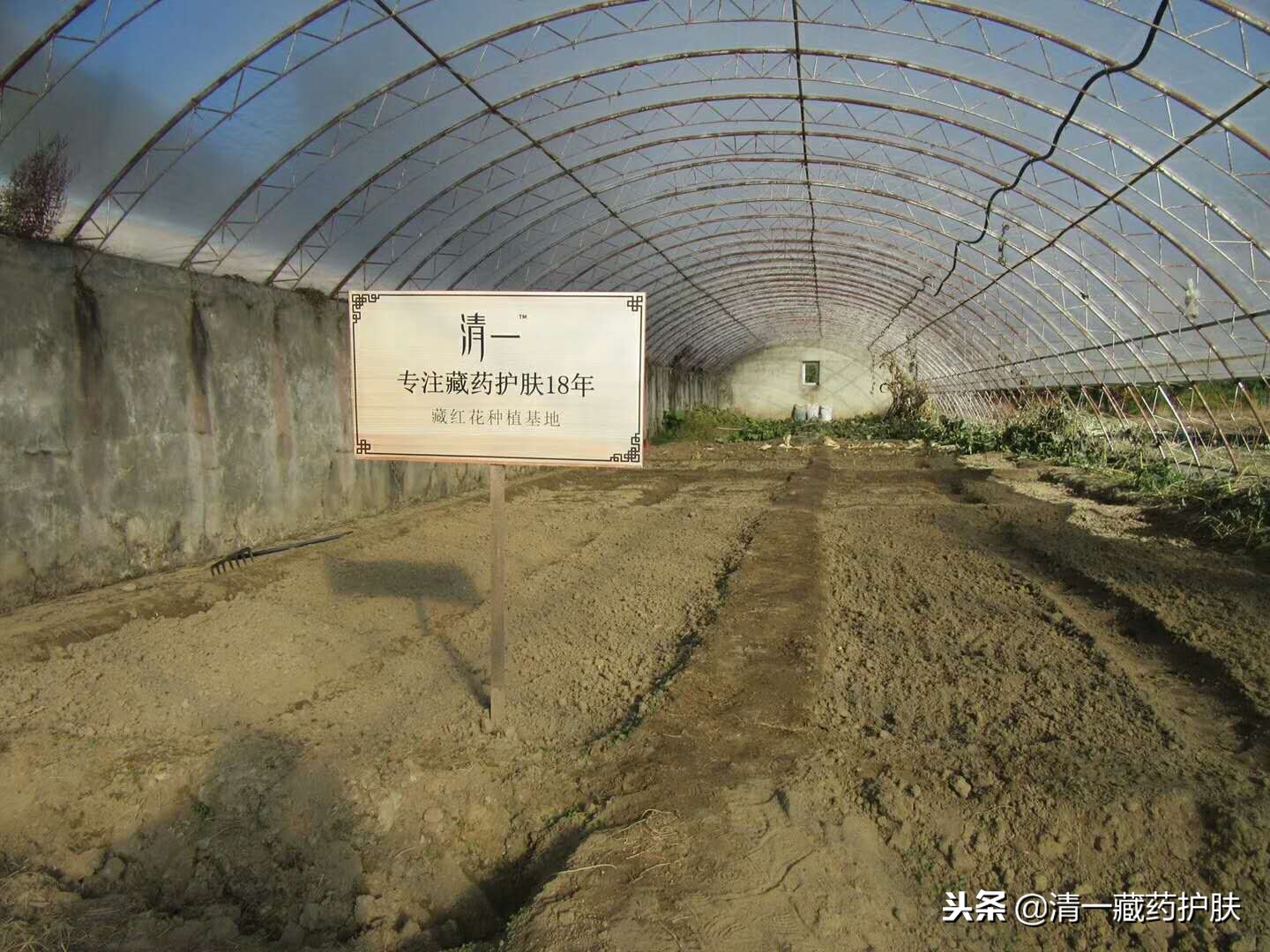 清一产品,清一护肤品口碑怎么样