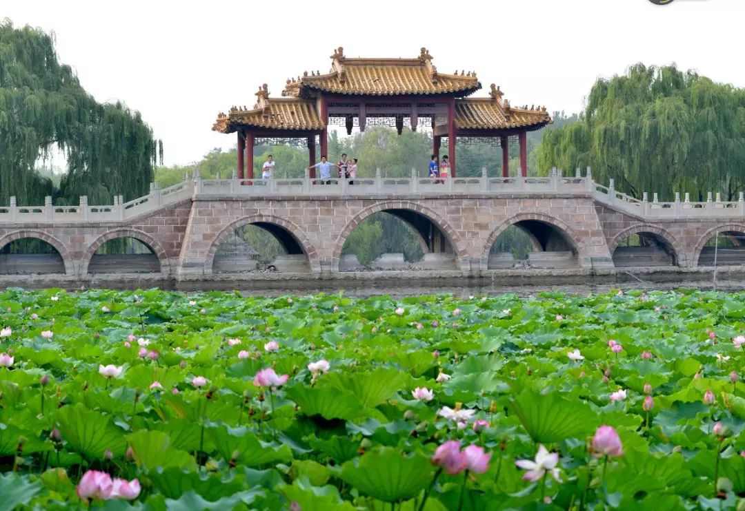 《如今直上青云去》——潍坊安丘