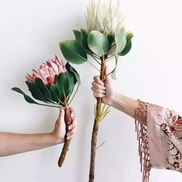 鲜花发蔫了怎么办,鲜花蔫了就要扔吗