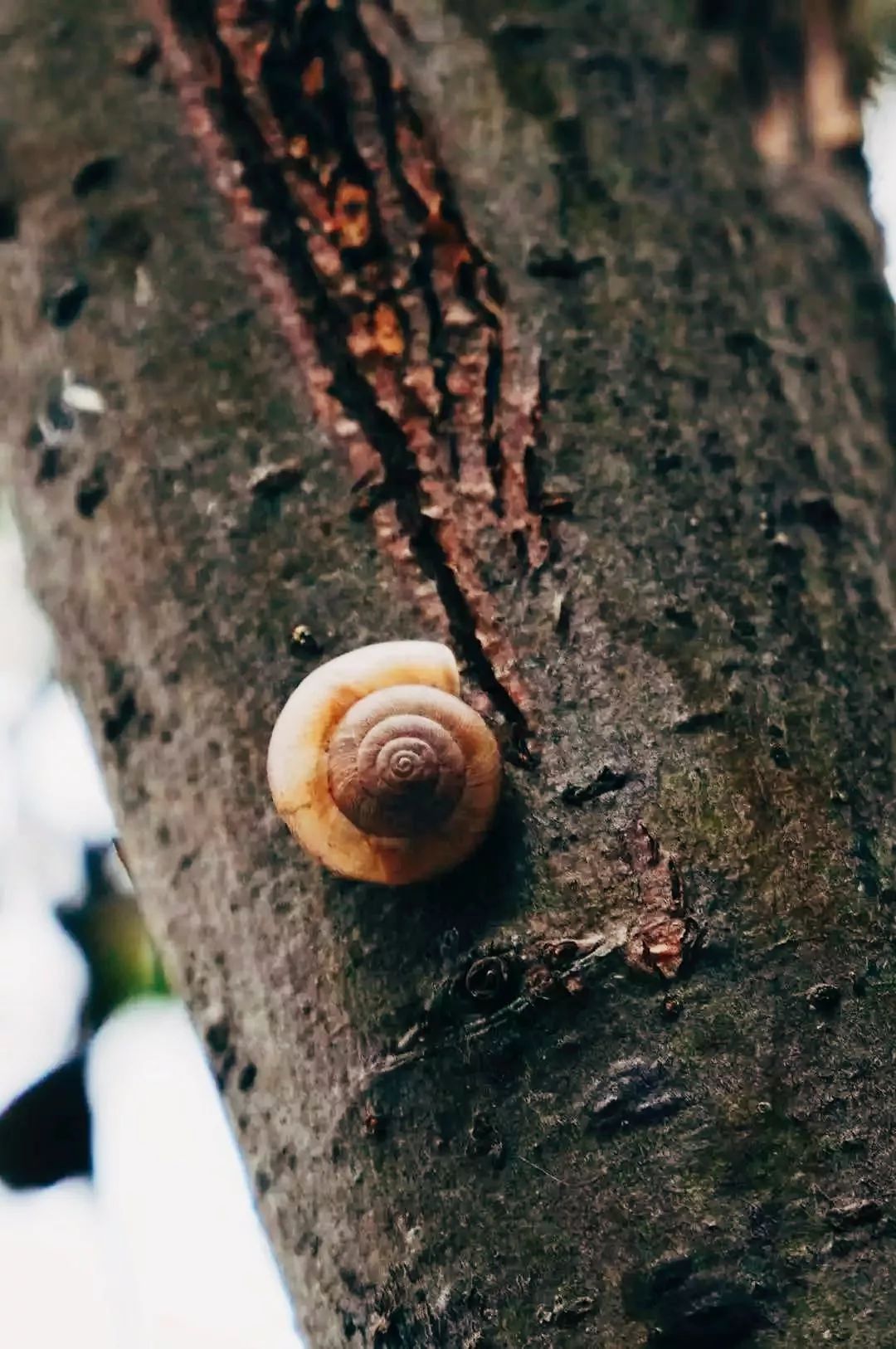 中国民航大学，是时候火了