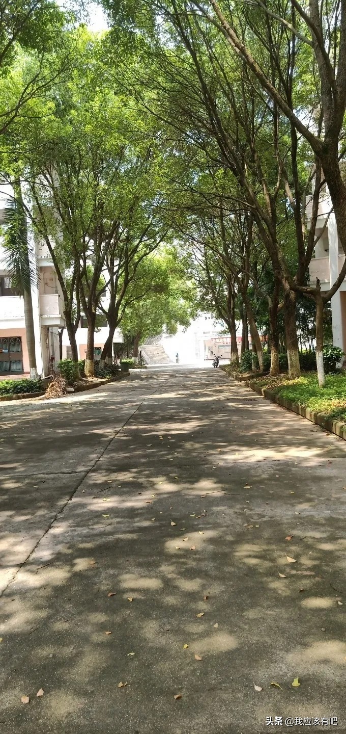 广东省梅县东山中学,广东梅县东山中学本科率