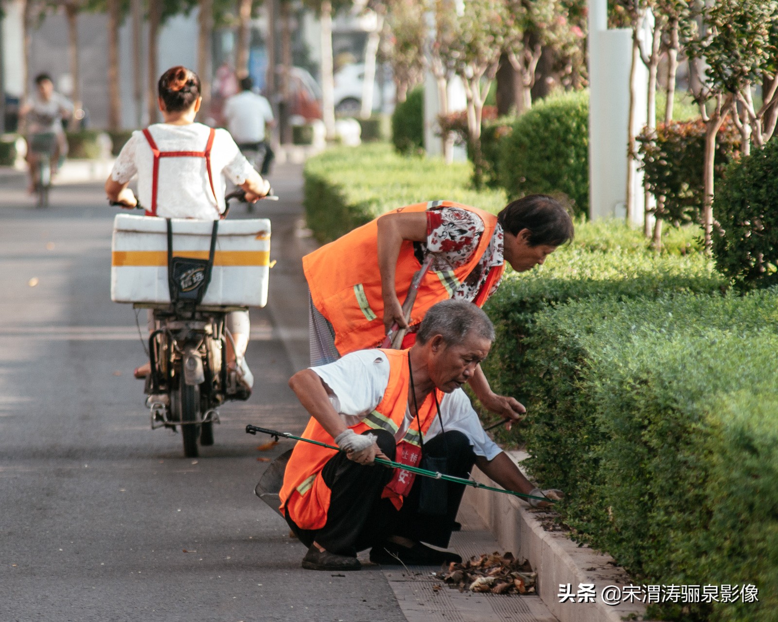摄影家协会会员如何申请加入,如何申请成为中国摄影家协会