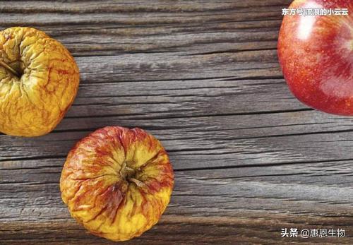 每年入秋嘴唇干裂该补什么,一到秋季嘴唇干裂嘴唇起泡