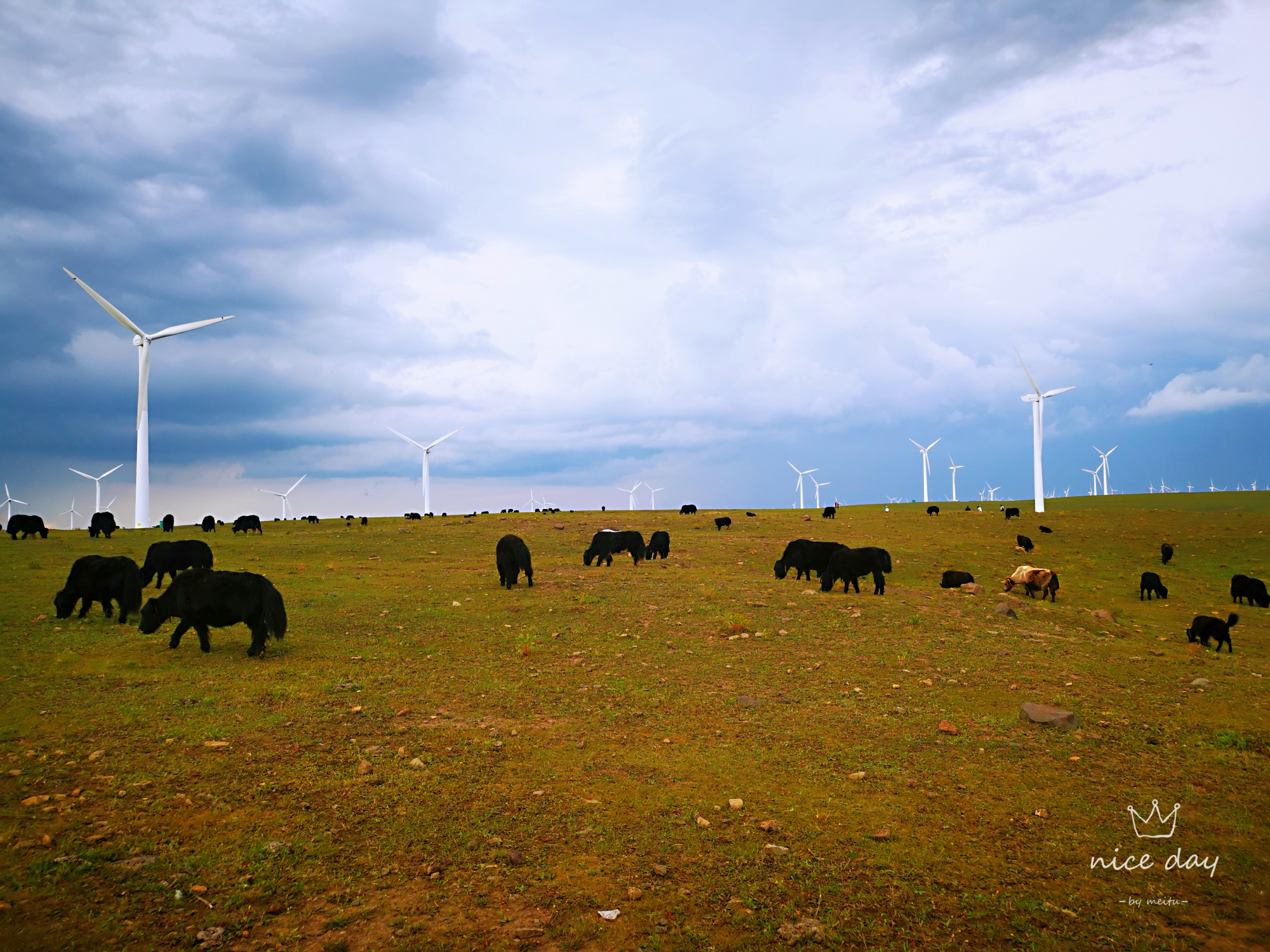 乌兰布统和红松洼哪个更值得去,辽宁乌兰布统草原旅游
