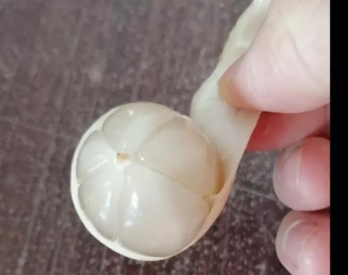 印度尼西亚吃的特产水果,印度尼西亚水果有哪些