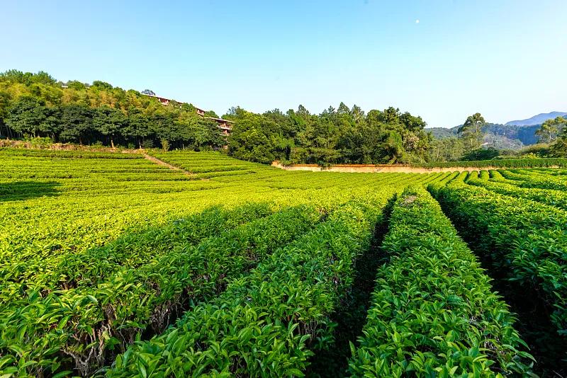 广东天空之城,广东省13个5a级景区你去过几处