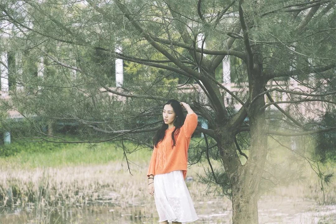 深圳这27个热门游玩地，坐2号线全都能到