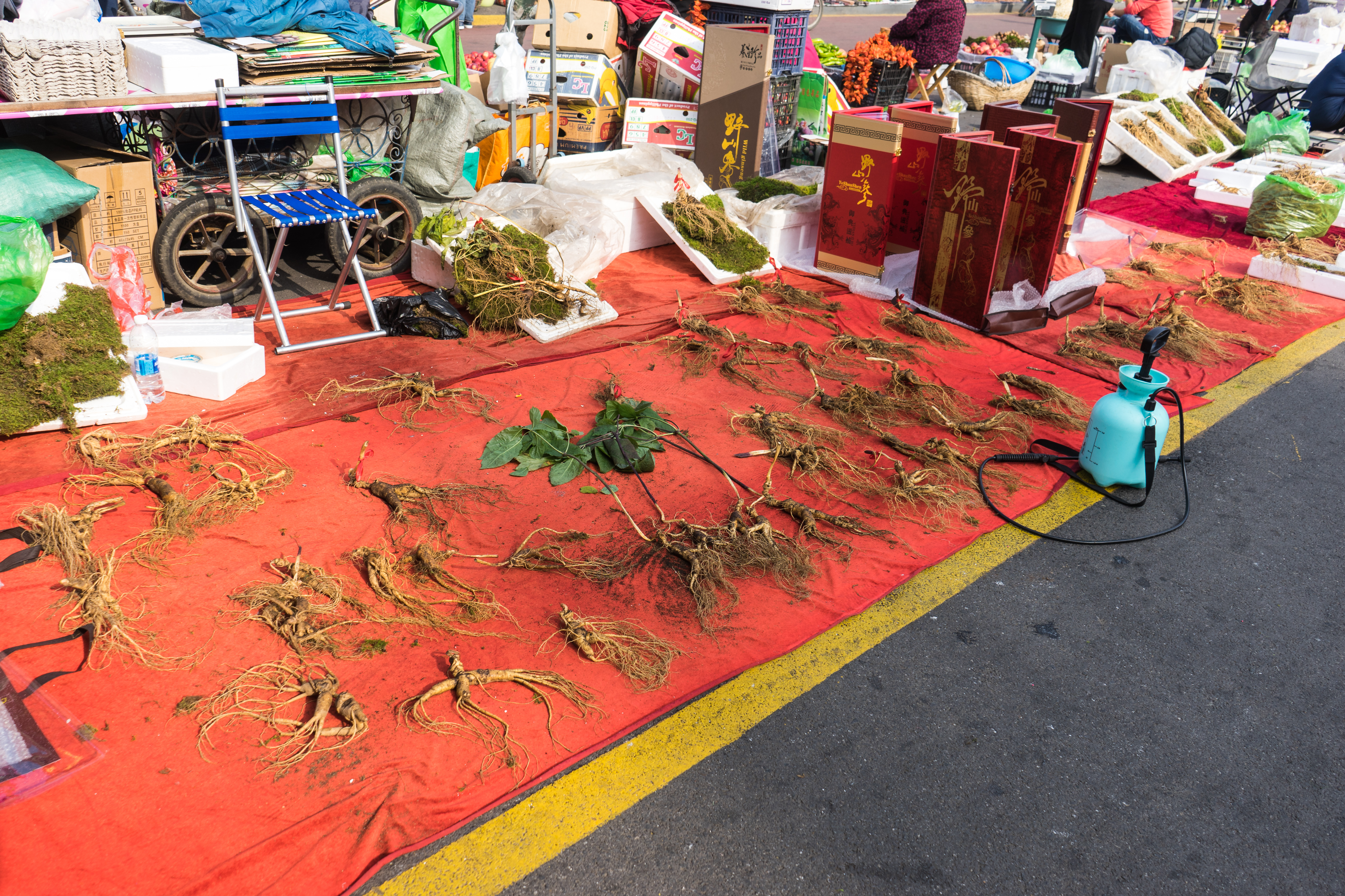 中朝边境自驾游视频,331国道自驾中朝攻略