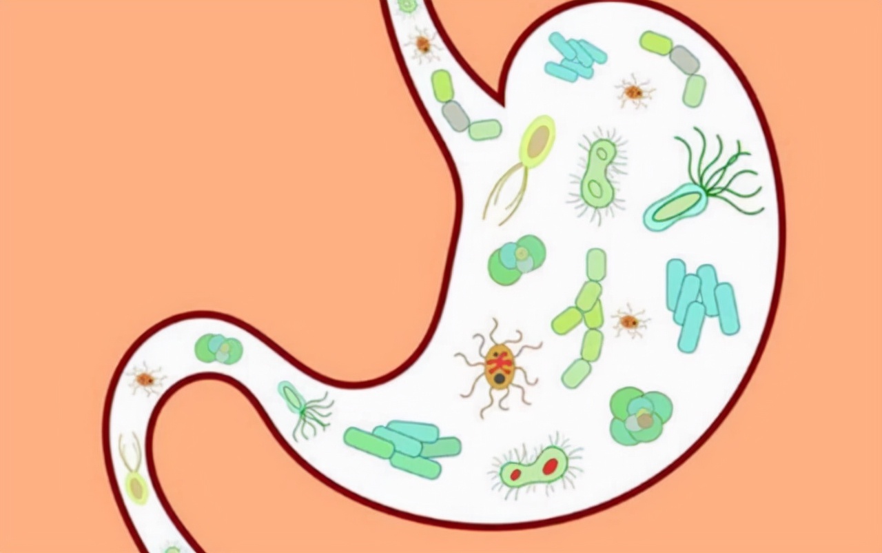 红薯怎么吃才有减肥的效果,怎样吃红薯既营养又减肥