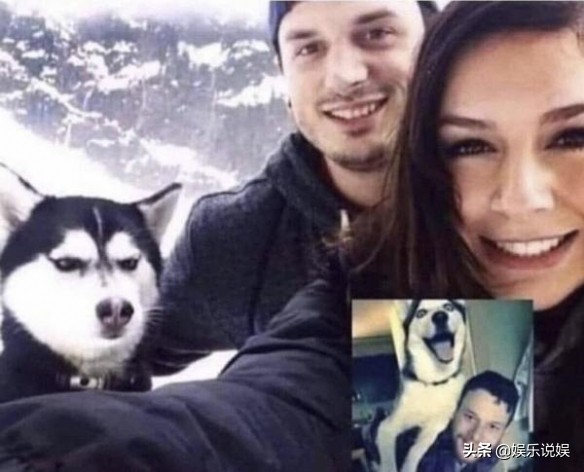 每日一笑,请问发骚门诊怎么走?大自然也好这口?纯白至臻小猫咪