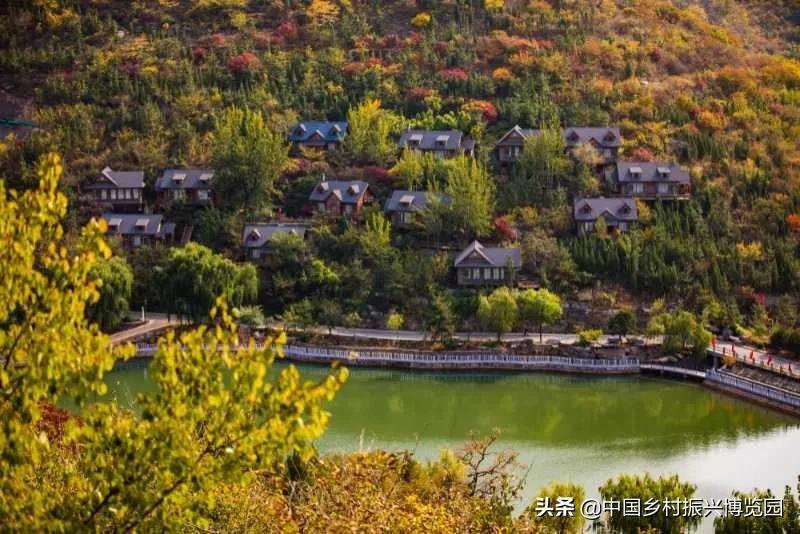 井陉人做了什么,井陉优秀人物