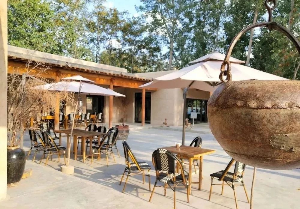 讲好黄河故事传承河洛文化,讲好黄河故事传承黄河文化内容