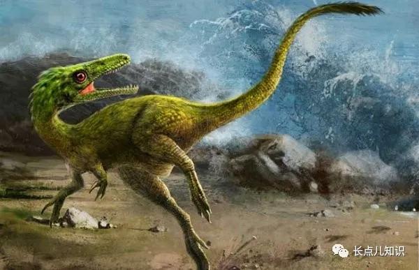 十大最强恐龙第九位特暴龙,比霸王龙还凶的世界十大恐龙