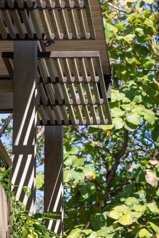 一个完全开放式的林中村落——哥斯达黎加体育中心