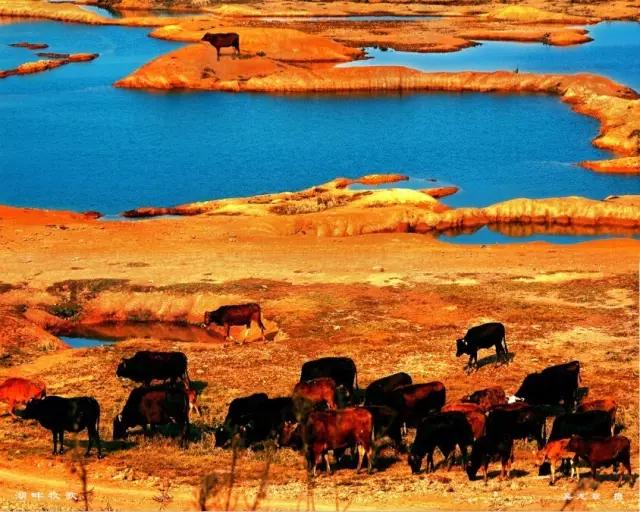 鄱湖之滨鱼米之乡,江西鄱阳湖