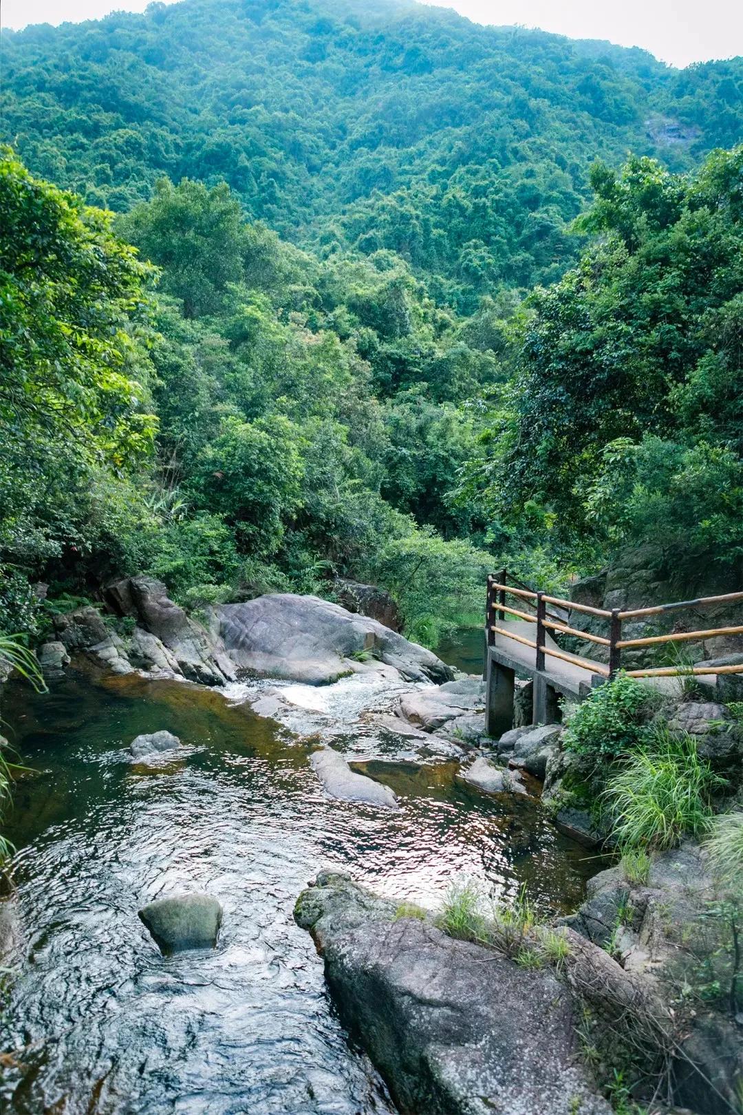 深圳值得去的地标,深圳值得去的景点排行榜