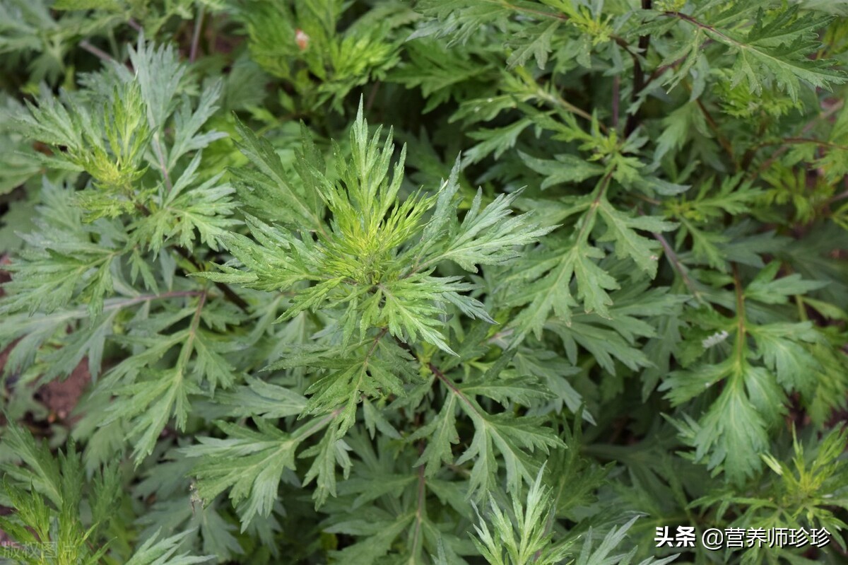 姨妈期间腰疼小妙招,治疗姨妈期腰痛的神器