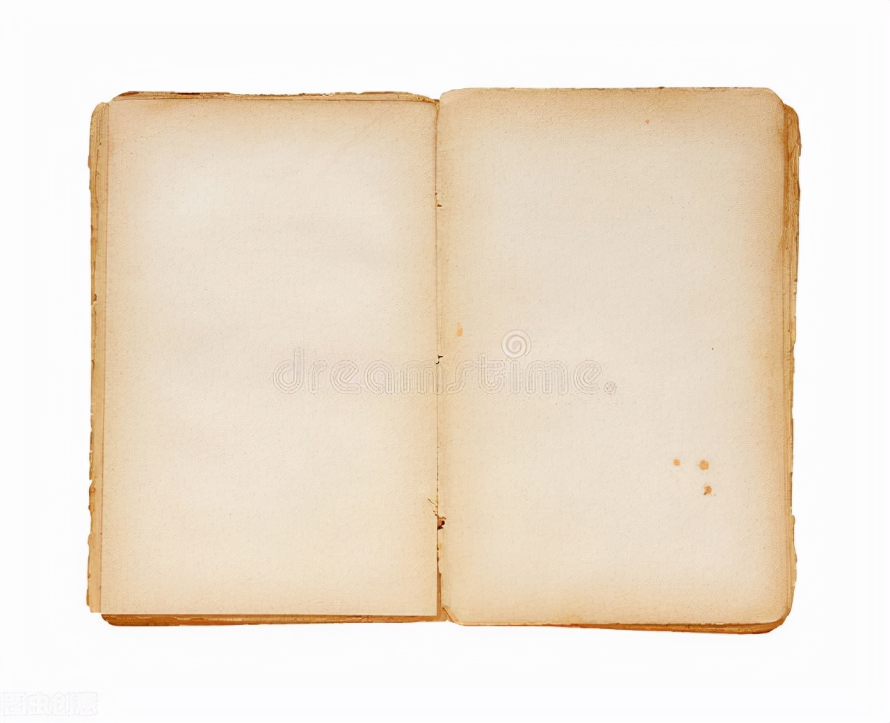 记忆术真实存在且每个普通人都能学会|记忆术第一阶段学习总结