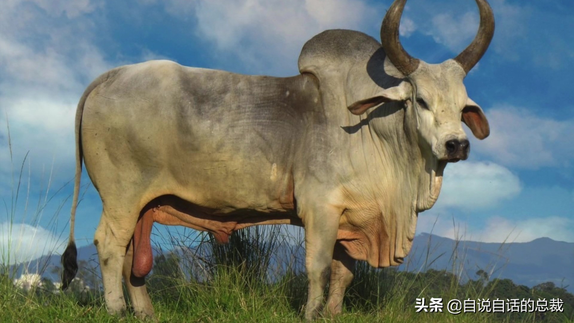 阿努纳奇创造人类7次文明,阿努纳奇人类起源